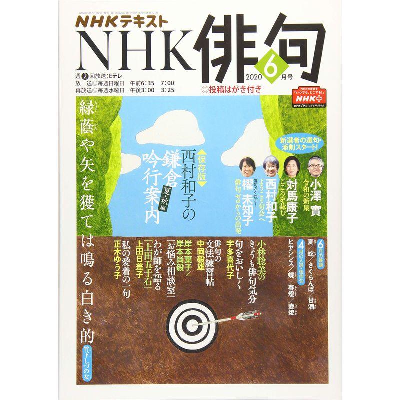 NHK俳句 2020年 06 月号 雑誌