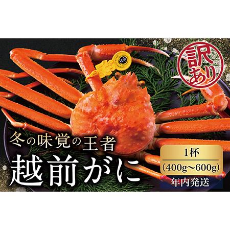 ふるさと納税 越前がに（オス）「ずわいがに」（400g〜600g） 訳あり 1杯 福井県越前市