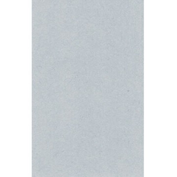 【文具通】對開 對K 書面紙 海報紙 灰色 出貨量為5張 購買前請注意，紙製品不接受退換貨! P1400020【APP滿額下單10%點數(單一帳號最高1000點)】4/30止