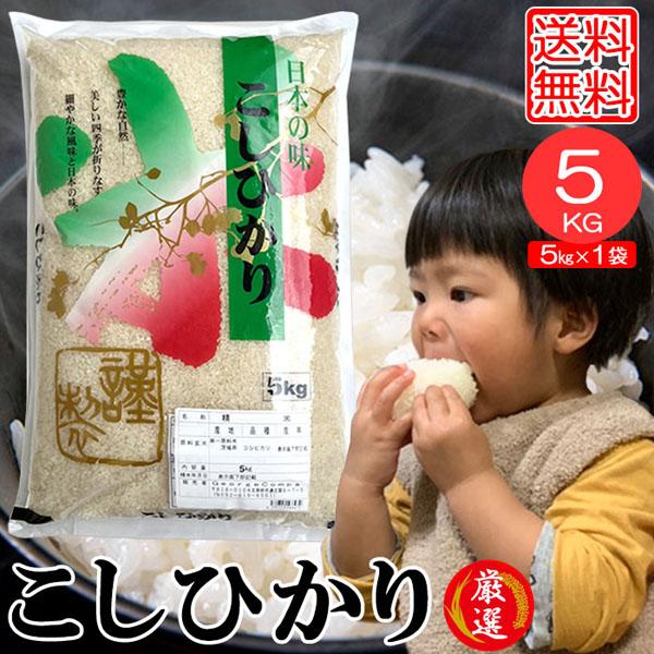 米5kg 米 お米 5kg コシヒカリ こしひかり 1袋 送料無料 こめ 白米 精米 宮崎県産