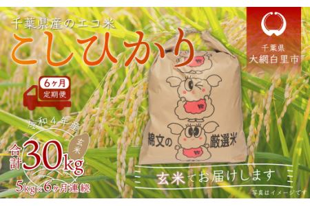 ＜6ヶ月定期便＞千葉県産エコ米「コシヒカリ」玄米5kg×6ヶ月連続 計30kg