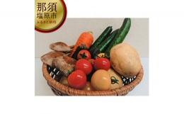 季節の野菜お試しセット(全5～7品)