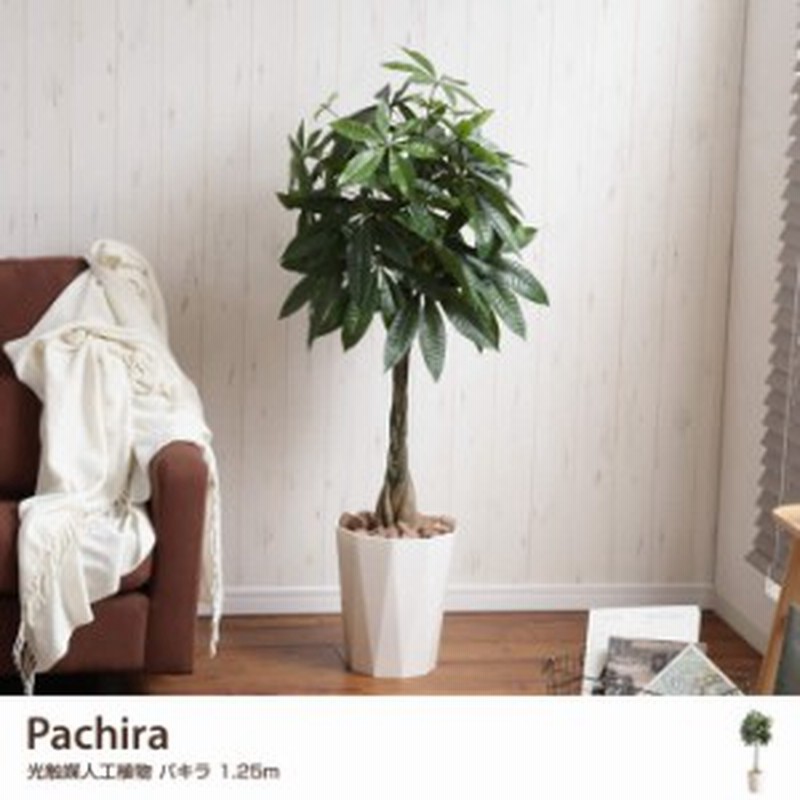 G 高さ1 25m パキラ 枯れない お手入れ不要 アートガーデン 自宅 オフィス 爽やか 造花 葉っぱ 編み込み 観葉植物 通販 Lineポイント最大1 0 Get Lineショッピング