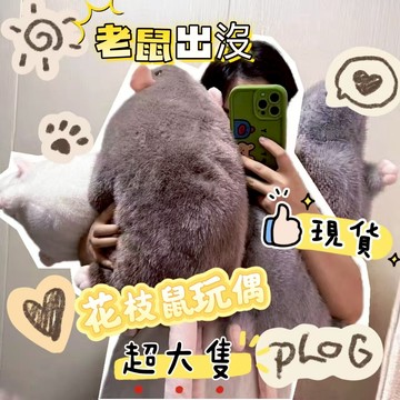 隔日達🎀 仿真花枝鼠玩偶 大號老鼠 仿真老鼠 花枝鼠玩偶 公仔 老鼠娃娃 可愛老鼠玩偶 毛絨玩具 搞怪老鼠玩偶 交換禮物