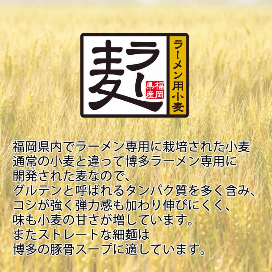 博多ラーメン 4食入 メール便 送料無料 国産 福岡県産ラー麦 本格半生麺 濃厚とんこつスープ 豚骨ラーメン 長浜屋台らーめん メール便送料無料