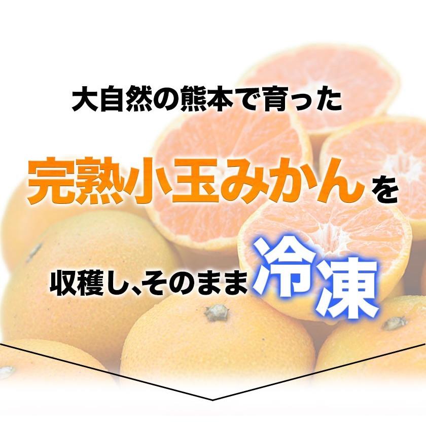 セット購入でおまけ付き 冷凍 小玉 みかん 皮付き 熊本県産 1.5kg 500g×3袋 送料無料 フルーツ シャーベット アイス 7-14営業以内発送予定(土日祝除く)