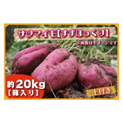 ふるさと納税 茨城県 行方市 BZ-30 2023年度産 約20kg箱入りサツマイモ（すずほっくり）