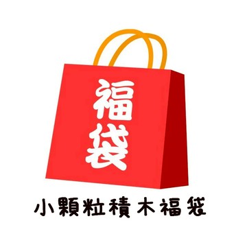 🎁【台灣現貨】小顆粒積木福袋｜聖誕禮物、交換禮物、創意DIY、完美活動贈品，讓玩樂無限！✨