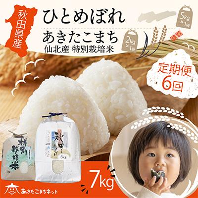 ふるさと納税 秋田市 秋田県産ひとめぼれ5kg・仙北産あきたこまち特栽米2kgセット 全6回