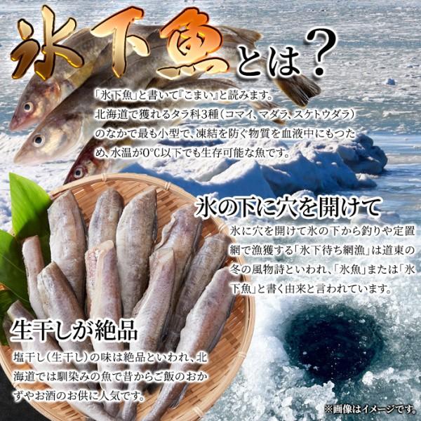 生干し 氷下魚 (こまい) 1kg 本場 北海道 ソウルフード 身がホクホク 冷凍 生干しこまい 1kg