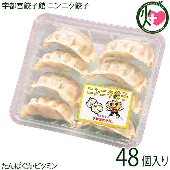 ニンニク餃子 8個入り×6パック 48個入り 宇都宮餃子館 栃木県 宇都宮 お取り寄せ 惣菜 冷凍