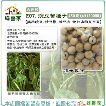 【綠藝家】大包裝E07.豌豆苗種子450克(約1300顆)(台中15號)大豆苗.葉用碗豆.豌豆鬚.豌豆尖 快炒豆苗