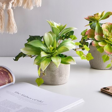 Meric Garden 仿真多肉植物療癒手工水泥小盆栽_白佛甲