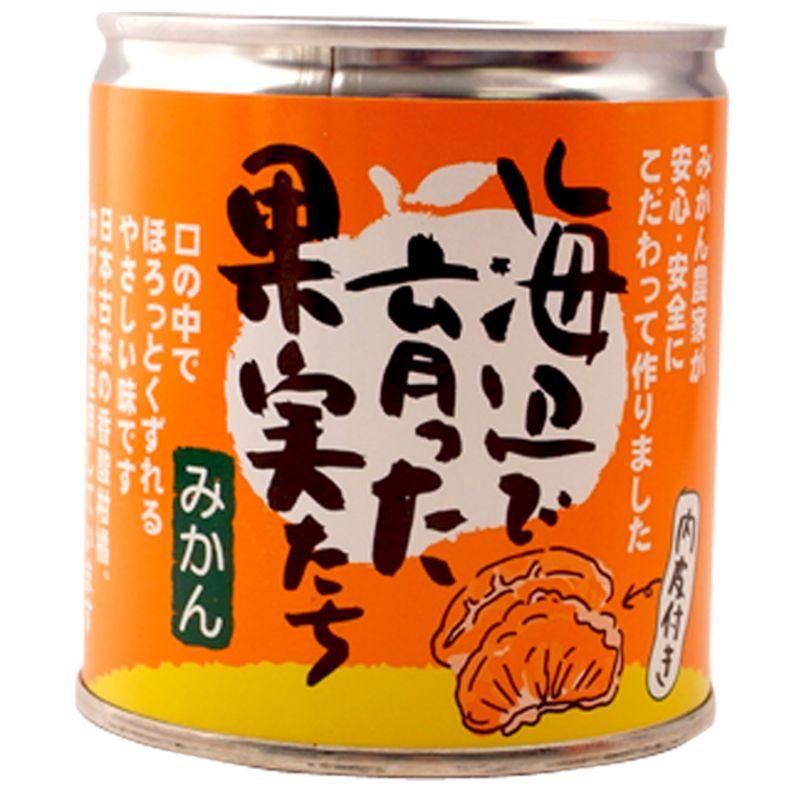 みかん缶詰 海辺で育った果実たち（愛媛産みかん100%使用） ×12缶セット