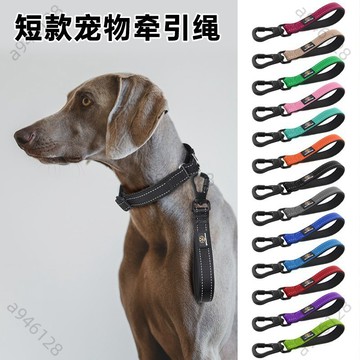 🔥熱銷免運訓練寵物短牽引繩 尼龍 訓犬狗狗牽引繩 中大型粗款 狗繩 短版 拉帶