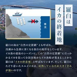 ふるさと納税 12月17日入金分まで 年内発送 知床羅臼産 するめいかの一夜干し4枚セット（1枚250g前後） 生産者 支援 応援 F21M-629 北海道羅臼町