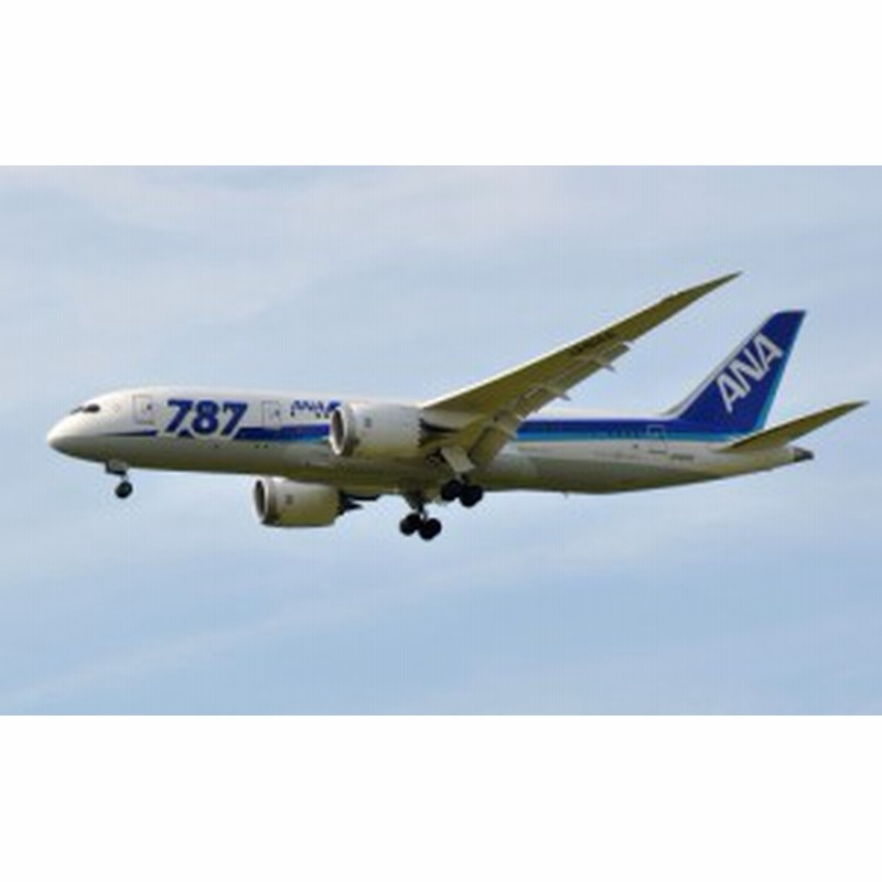 絵画風 壁紙ポスター Ana ボーイング 787 8 ドリームライナー Ja814a ジェット旅客機 全日空 B787 023w2 ワイド版 603mm 376mm 通販 Lineポイント最大1 0 Get Lineショッピング