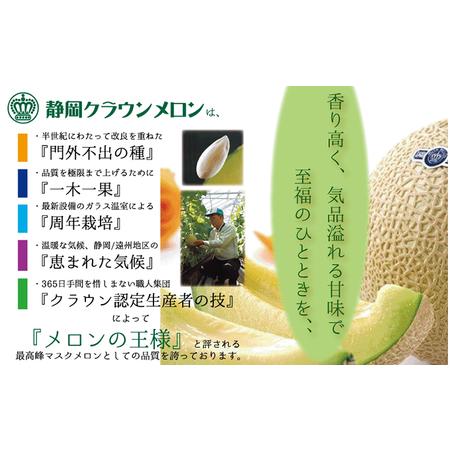 ふるさと納税 クラウンメロン（約1.1kg）×1玉＆メロンカレー（170g）×2箱入 静岡県浜松市