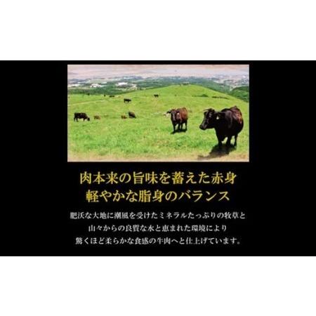 ふるさと納税 雲仙牛(A5ランク)サーロインステーキ(200g×2ケ) 長崎県雲仙市