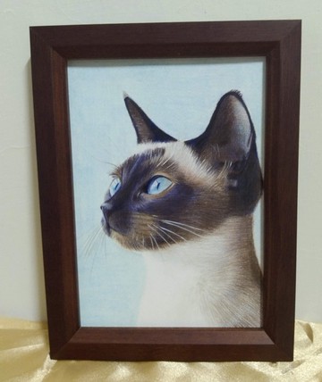 擺設 / 貓 / 色鉛筆畫 / 原稿 / 含框