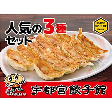 さくら食品宇都宮餃子館 宇都宮餃子館　当店の人気の餃子3種セット(健太・ニンニク・しそ)各8個×2パック(餃子のたれ付き)