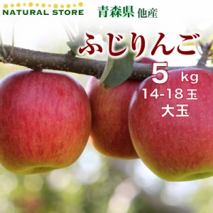 [予約 11月1日-3月30日の納品] ふじ フジ 5kg 14玉-18玉 大玉 産地箱 青森県産 長野県産 JA津軽みらい 他 りんご　冬ギフト お歳暮 御歳