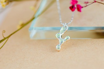 多肉植物系列 球狀仙人掌造型項鍊 (NLAJA1050N)