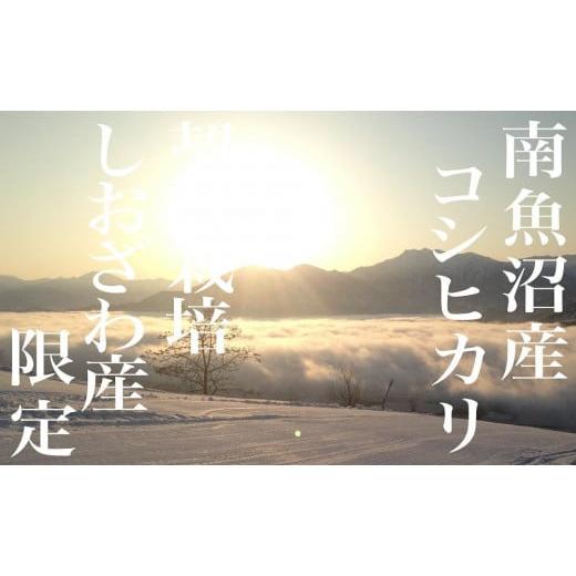 ふるさと納税 新潟県 南魚沼市 生産地限定 契約栽培 南魚沼しおざわ産コシヒカリ20Kg×9ヶ月