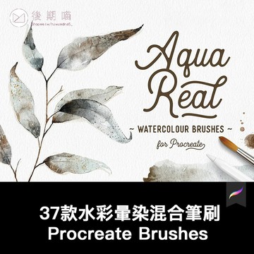 Procreate水彩筆刷8款基礎混合畫筆29款印章15個色卡贈視頻brushe