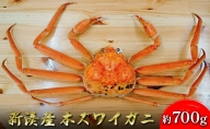 新湊産本ズワイガニ約700g