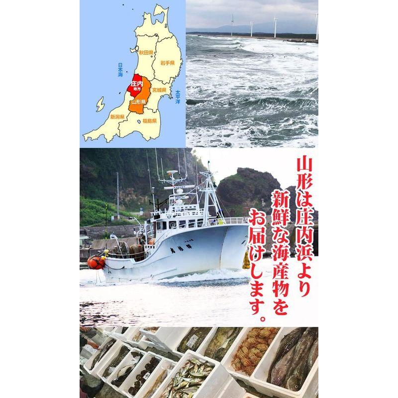 鮮魚セット A 母の日 詰め合わせ 直送 ギフト ギフトセット 山形県庄内産 魚 さかな 食の都庄内