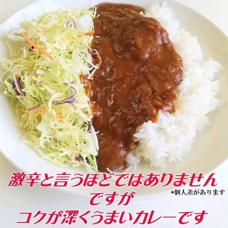 激辛ガーリックカレー 魔王のカレー メール便送料込み