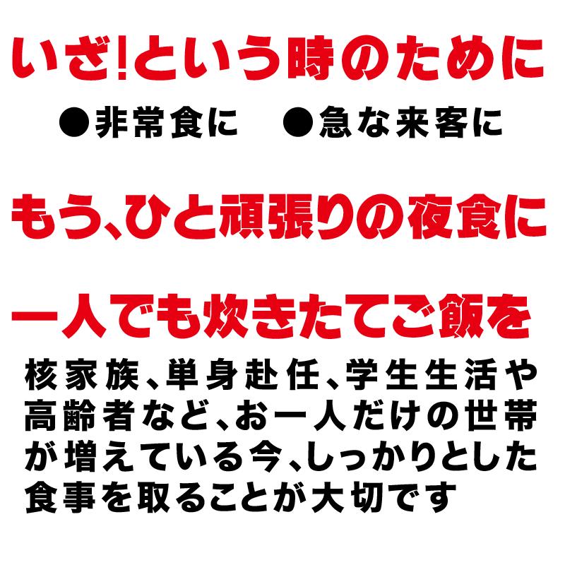 うなぎ 蒲焼き 国産 鰻 グルメ ギフト うなぎめし 6個 送料無料