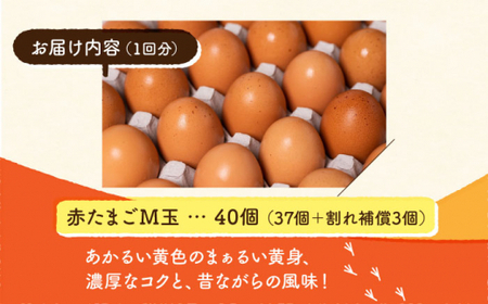  赤たまご M玉 40個 (37個＋割れ保証3個)タマゴ 玉子 熊本県たまご 卵 国産たまご 新鮮たまご あかたまご M玉たまご 熊本たまご 濃厚たまご  [ZCA005]