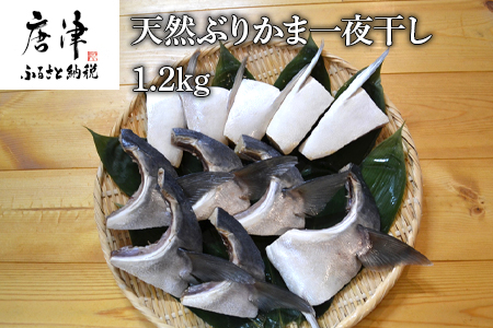 天然ぶりかま一夜干し ハーフ2食×5袋 計1kg ・フル1食×1袋 計200g(合計1.2kg) おかず おつまみ