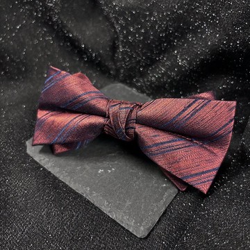 藍斜線紅棕領結-不張揚的咖啡色底更能襯托你的高級品味