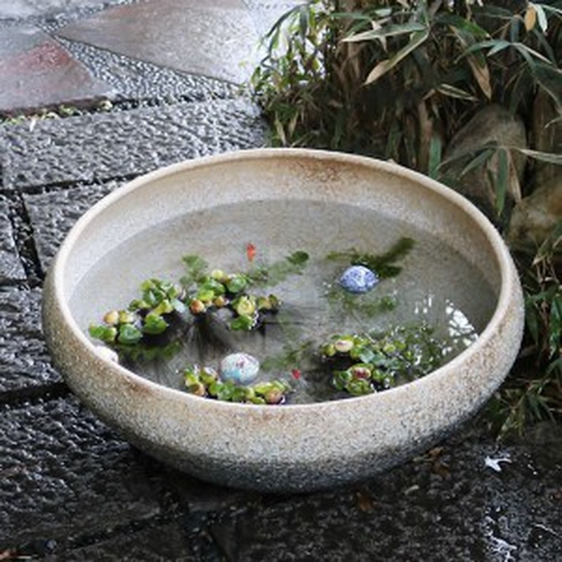 最安にします☆睡蓮鉢。綺麗な陶器製、メダカ、金魚、水性植物、手描き