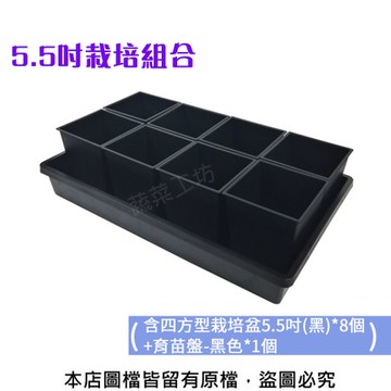 5.5吋栽培組合(含四方型栽培盆5.5吋*8個+育苗盤*1個)育苗盤黑色有孔