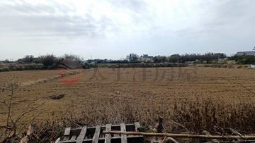 觀音合法資材室｜桃園市觀音區茄苳坑段兩座屋小段