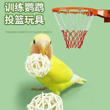 寵物省錢鋪】 鸚鵡藤球啃咬玩耍玩具訓練倉鼠磨牙覓食互動玄風虎皮小寵鍛鍊用品 可愛 出貨 鸚鵡玩具 toy 倉鼠玩具
