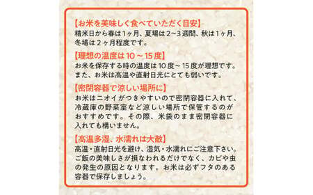 山形県産つや姫10kg(5㎏×2袋)