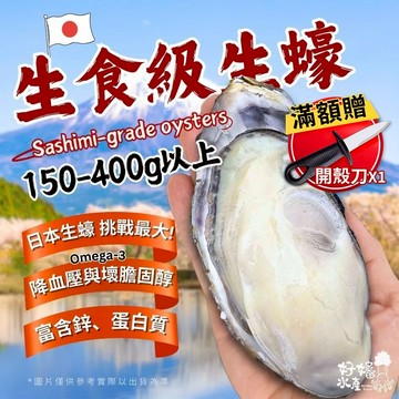 【好嬸水產】日本原裝●巨大款生食級生蠔150-400g以上(單顆)｜4XL、5XL｜非牡蠣 日本宮城縣全殼生蠔 海中牛乳