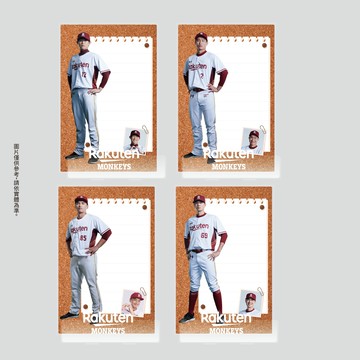 球員多功能支架