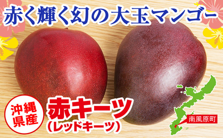 南国の果物　沖縄県産マンゴー　赤キーツ　1kg