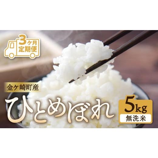 ふるさと納税 岩手県 金ケ崎町  毎月 5kg お届け 精米 金ケ崎町産 お米 自宅 炊飯 お弁当 袋 岩手県 金ケ崎町 いわて 米…