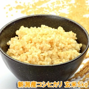 令和5年産 新潟コシヒカリ 5kg 玄米 送料無料　 新潟玄米 農薬節減（7割減） 有機肥料栽培米・残留農薬ゼロ（検査済） こし