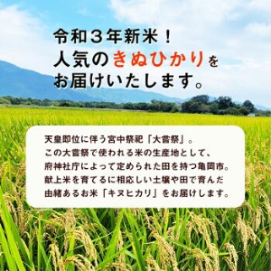 訳あり 定期便 新米 5kg 4ヶ月 京都丹波米 きぬひかり 白米 4回定期便 5kg×4回 計20kg ※精米したてをお届け《緊急支援 米・食味鑑定士 厳選 キヌヒカリ 京都丹波産 特Ａ》 ※北海道・沖縄・離島への配送不可