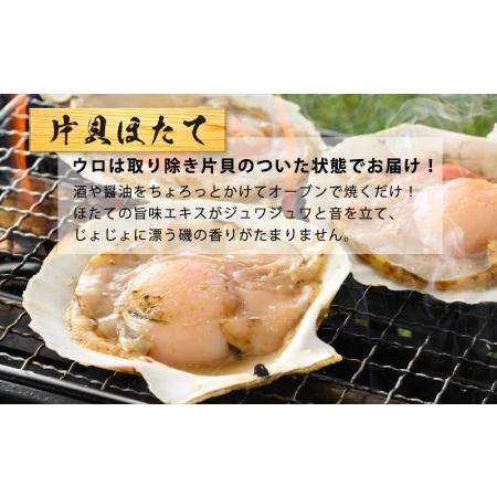 ふるさと納税 海鮮 BBQ おつまみセット「越前えび ＆ 片貝ほたて」約4〜5人前（越前えび500g 片貝ほたて10枚） [e04-a063] 福井県越前町