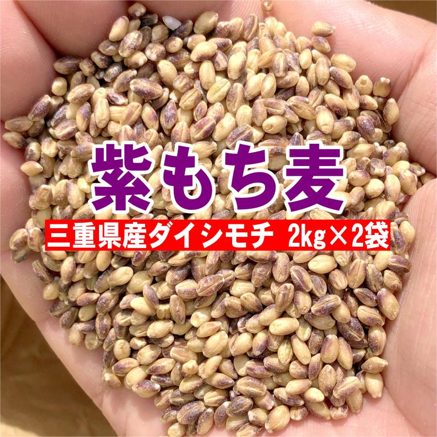 ダイシモチ 紫もち麦 三重県産 4kg(2kg×2袋)