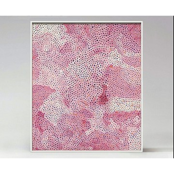 現代潮流畫 抽象裝飾畫 日本藝術畫 草間彌生 Yayoi Kusama  夢中花